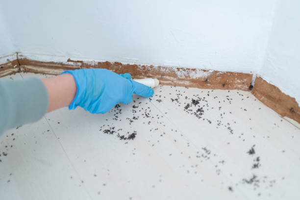 Best Best Pest Control Companies  in Warsaw, IN