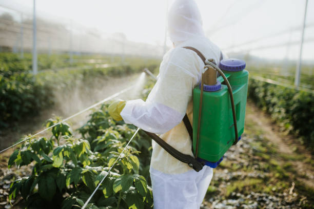 Best Best Pest Control Companies  in Warsaw, IN